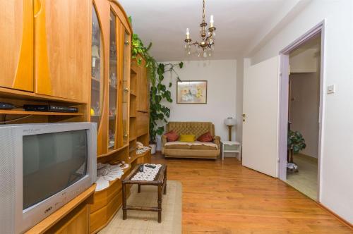 uma sala de estar com uma televisão e um sofá em Apartment Jasenka em Korčula