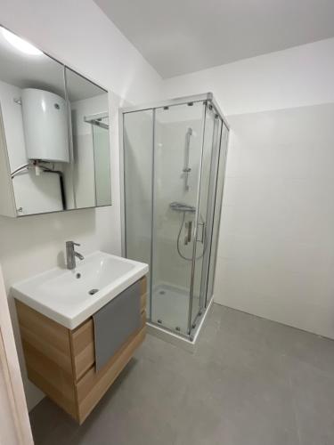 une salle de bain avec une douche en verre et un lavabo dans l'établissement Appartement 30 m2, piscine et parking privé, à Mouans-Sartoux