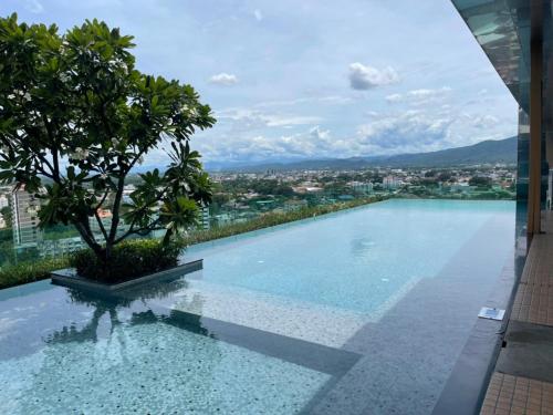 - une piscine avec un arbre au-dessus d'un bâtiment dans l'établissement The Astra Suites Condo, à Chiang Mai