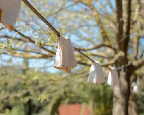 Photo de la galerie de l'établissement Hotel Fundació L'Olivar, à Ventalló