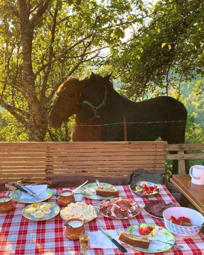 un caballo de pie junto a una mesa con comida en Etno kuća Krvavac, en Pljevlja