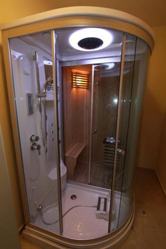 a bathroom with a shower and a toilet at Captain Alex Villa 1 in Dafnila