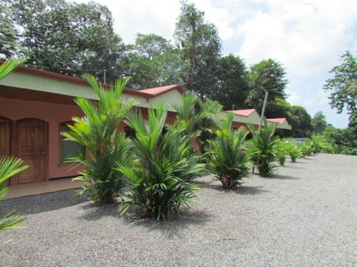 Zahrada ubytování Hotel Vista al Tortuguero