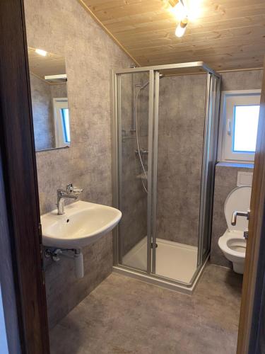 a bathroom with a shower and a sink and a toilet at la Cibourg, Centre de vacances in Renan