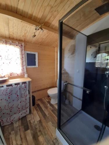 a bathroom with a shower and a toilet in a room at Le Ranch du Madres in Roquefort-de-Sault