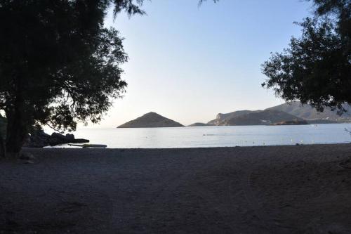 Φυσικό τοπίο κοντά σε αυτό το διαμέρισμα