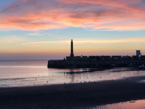 a lighthouse on the beach with birds on the sand at The Beetroot in Margate