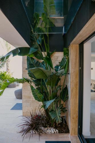 Taman di luar Villa Bloomhill Escape