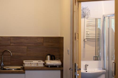 a bathroom with a sink and a toilet and a shower at Dom wczasowy Ewa in Jastrzębia Góra