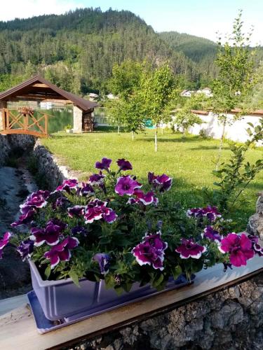 Taman di luar Božanstvena Drina
