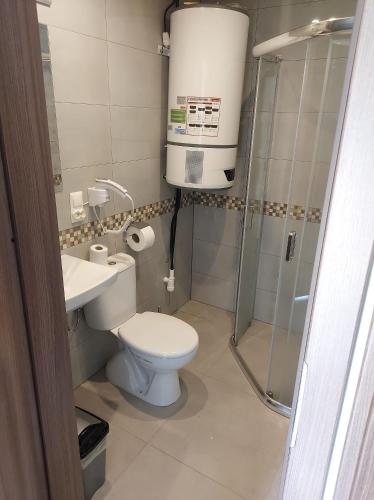 a small bathroom with a toilet and a shower at Apartamenty Promyk 
