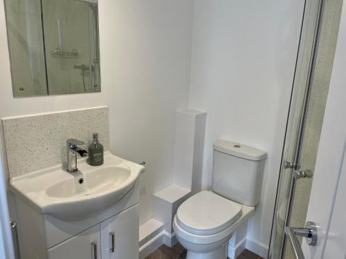 a white bathroom with a toilet and a sink at The Little Hideaway in Truro