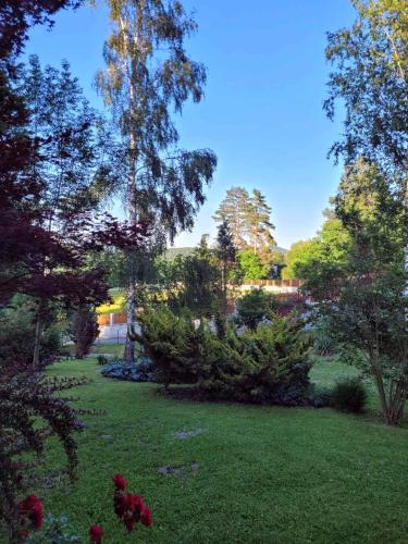 a garden with christmas trees and a green yard at Takovo - odmor u selu in Gornji Milanovac