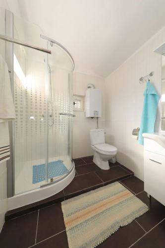 a bathroom with a shower and a toilet and a sink at House Tony in Tkon