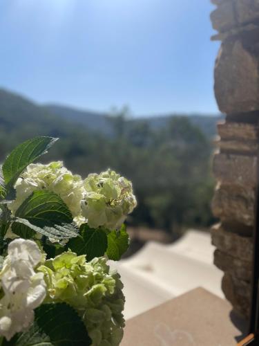 Gambar di galeri bagi La casa di Michela di Rutino