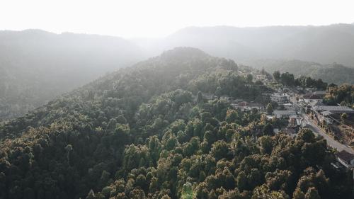 Φυσικό τοπίο κοντά σε αυτός ο ξενώνας