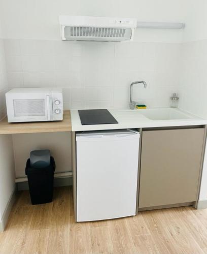 a kitchen with a counter with a microwave and a refrigerator at LE BON LABOUREUR in Moulins-Engilbert