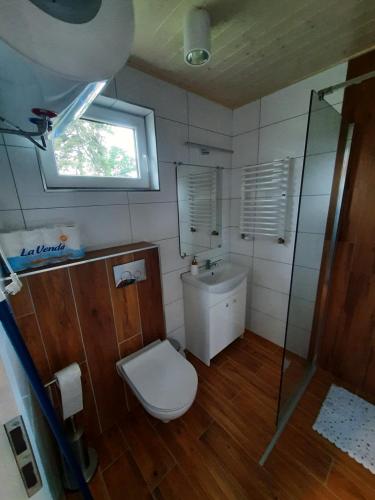a bathroom with a toilet and a sink and a window at Agroturystyka Kluki u Tosi in Smołdzino
