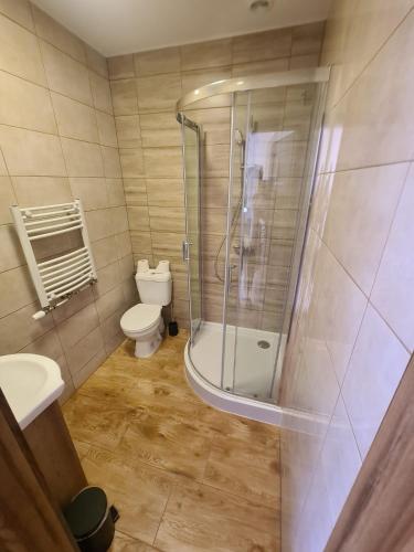 a bathroom with a shower and a toilet at Agroturystyka Sosnowy Gaik in Tykocin