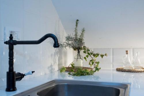 a kitchen sink with a faucet and a plant at SOBE NA FARMI 