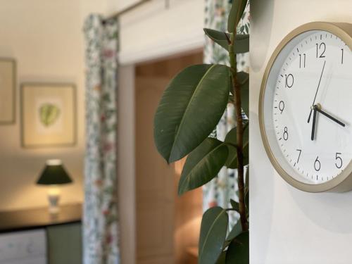 a clock on a wall next to a plant at Apartment 432 - Clifden in Clifden