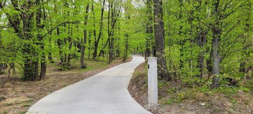 Fotografie z fotogalerie ubytování BUCIUM CLUB VILA 1 v destinaci Iaşi