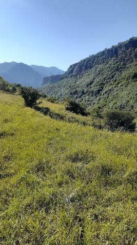 a field of green grass with mountains in the background at Guest house VL in Alaverdi