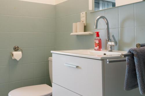 une salle de bain avec un lavabo et des toilettes dans l'établissement Apart Nissa Bella Centre / Promenade des Anglais, à Nice