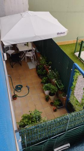 a patio with potted plants and an umbrella at Suit piscina y terraza in San Lorenzo de El Escorial