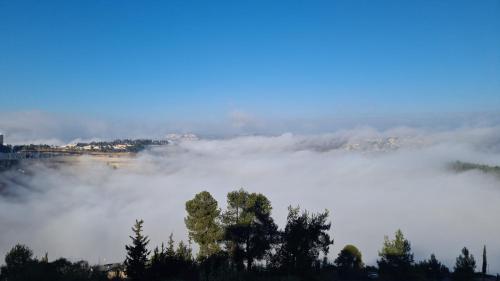 a field of fog with a tree in the foreground at מענה שמחה רוממה ירושלים דירת אירוח in Jerusalem