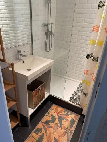 une salle de bain avec un lavabo et une douche dans l'établissement Loft de la plage Concurrence, à La Rochelle