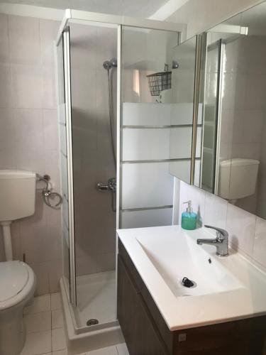 a bathroom with a shower and a sink and a toilet at Gourgiana Apartments in Andritsaina