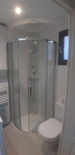 a bathroom with a glass shower with a toilet at Studio Cécilia in Aix-les-Bains