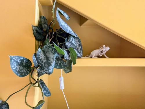 Gambar di galeri bagi Suite van Lotte unieke design loft in Dokkum di Dokkum
