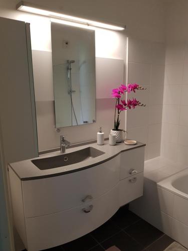 une salle de bain avec un lavabo, un miroir et une baignoire dans l'établissement APPARTEMENT T2 AGROPARC AVIGNON, à Avignon