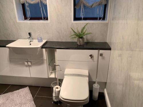 a bathroom with a toilet and a sink at Lovely 5 Person Chalet in St Margaret's at Cliffe in St Margarets at Cliff