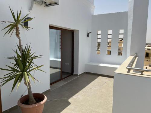 Residence Djerba – Photos 5