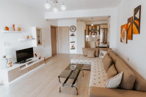 吉諾卡斯特的住宿－Panoramic Vlachos，带沙发和电视的客厅