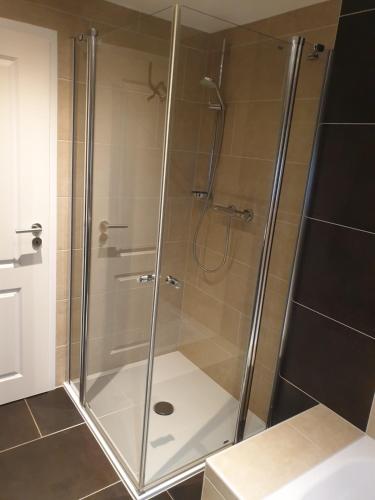 a shower with a glass door in a bathroom at Ferienwohnung Auengrund in Grub am Forst