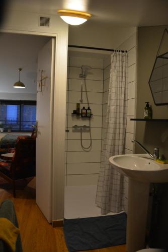 y baño con ducha y lavamanos. en Charleville Mézières, ravissante suite., en Charleville-Mézières