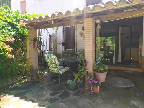 a patio with a chair and a table and potted plants at Alojamiento Rural La Noria in Cortegana