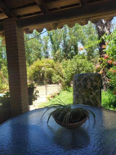 uma planta sentada numa mesa ao lado de uma cadeira em Alojamiento Rural La Noria em Cortegana