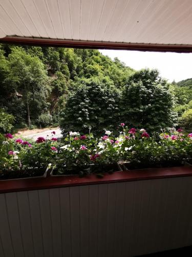 una ventana con vistas a un jardín de flores en Hotel Winneburg en Cochem