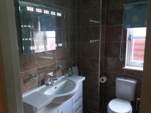 アビモアにあるAviemore Glenlivet Lodgeのバスルーム(洗面台、トイレ、鏡付)