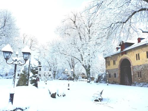 a park covered in snow with a street light and a building at Jagdschloss Hotel Niederwald in Rüdesheim am Rhein