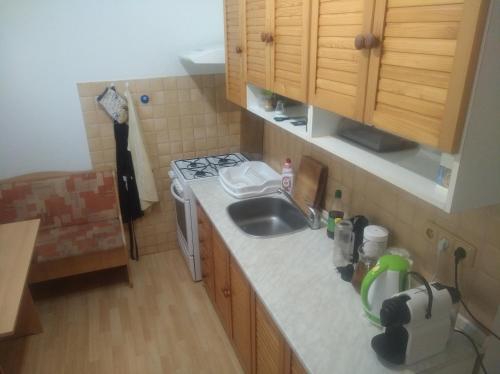 uma pequena cozinha com um lavatório e um fogão em Byt 2+1 s balkonem em Vsetín