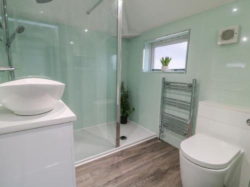 een badkamer met een douche, een toilet en een wastafel bij Herdwick Cottage in Brampton