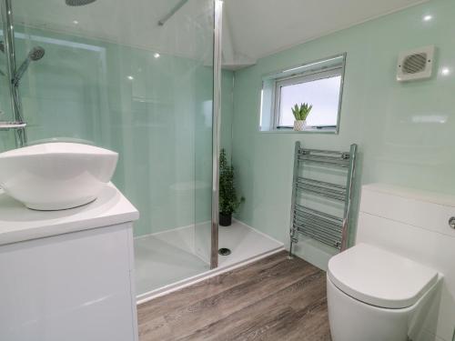 a bathroom with a shower and a toilet and a sink at Herdwick Cottage in Brampton