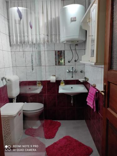 a bathroom with a toilet and a sink at Apartma Izola in Izola