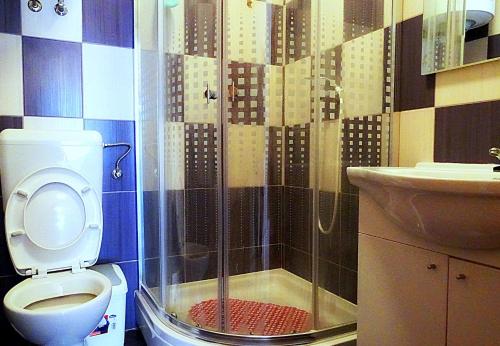 e bagno con doccia, servizi igienici e lavandino. di Apartments Graciela a Lastovo